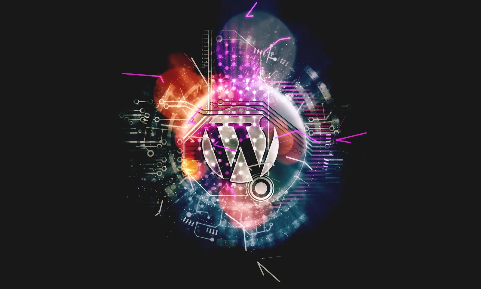 Visual guide to WordPress vs custom website development: which is better for your business?